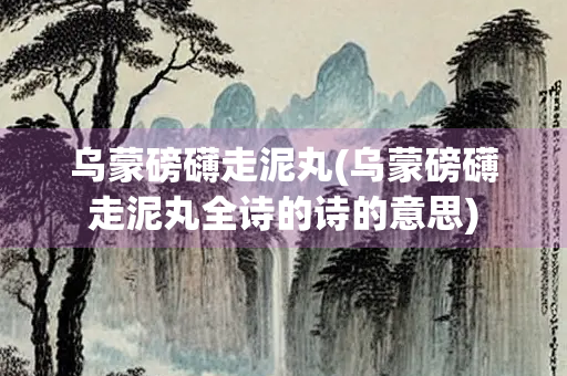 乌蒙磅礴走泥丸(乌蒙磅礴走泥丸全诗的诗的意思)