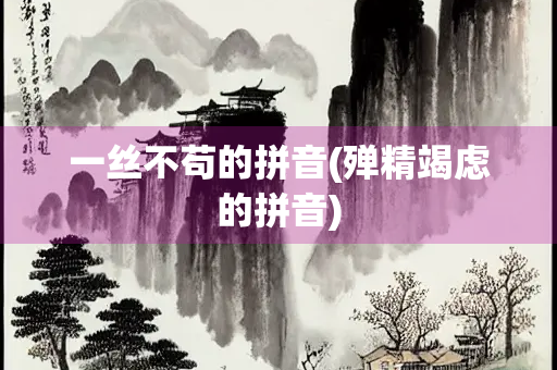 一丝不苟的拼音(殚精竭虑的拼音)