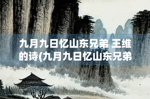 九月九日忆山东兄弟 王维的诗(九月九日忆山东兄弟 王维的诗朗读)