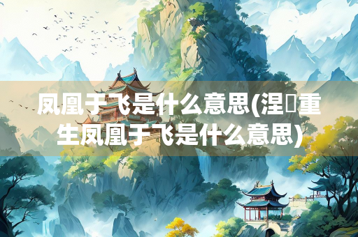 凤凰于飞是什么意思(涅槃重生凤凰于飞是什么意思)