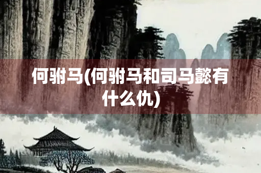 何驸马(何驸马和司马懿有什么仇)