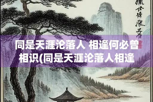 同是天涯沦落人 相逢何必曾相识(同是天涯沦落人相逢何必曾相识什么意思)