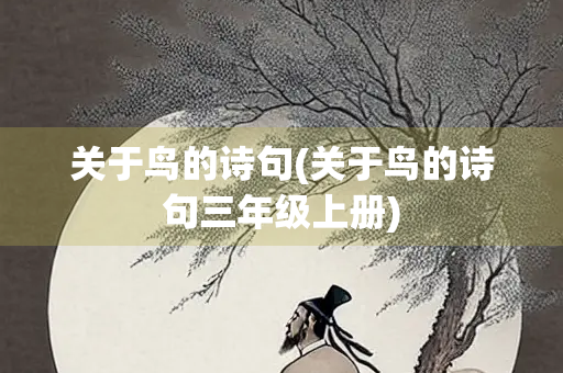 关于鸟的诗句(关于鸟的诗句三年级上册)