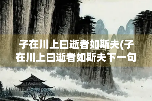 子在川上曰逝者如斯夫(子在川上曰逝者如斯夫下一句是什么)