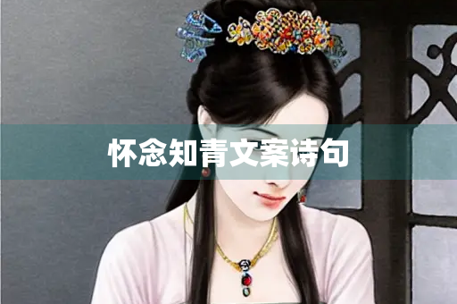 怀念知青文案诗句