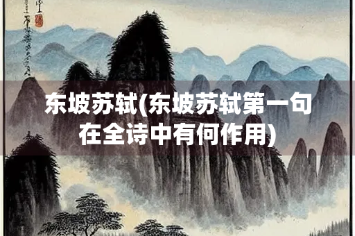东坡苏轼(东坡苏轼第一句在全诗中有何作用)