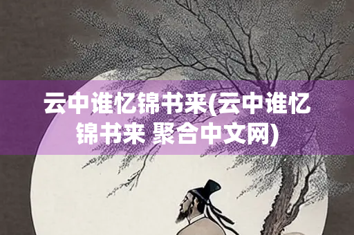 云中谁忆锦书来(云中谁忆锦书来 聚合中文网)