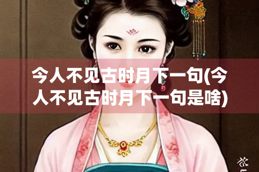 今人不见古时月下一句(今人不见古时月下一句是啥)