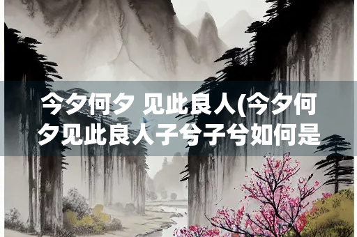 今夕何夕 见此良人(今夕何夕见此良人子兮子兮如何是什么意思)