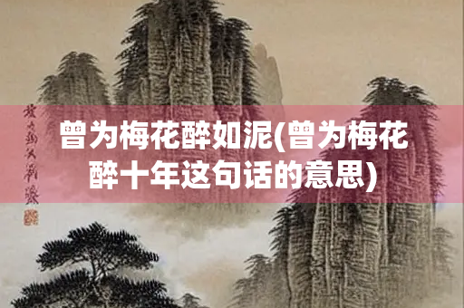 曾为梅花醉如泥(曾为梅花醉十年这句话的意思)