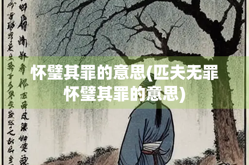 怀璧其罪的意思(匹夫无罪怀璧其罪的意思)