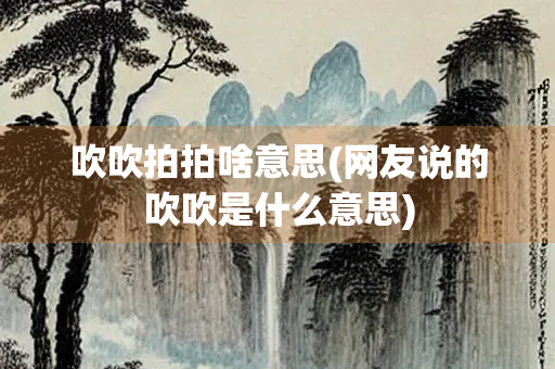 吹吹拍拍啥意思(网友说的吹吹是什么意思)