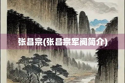 张昌宗(张昌宗军阀简介)