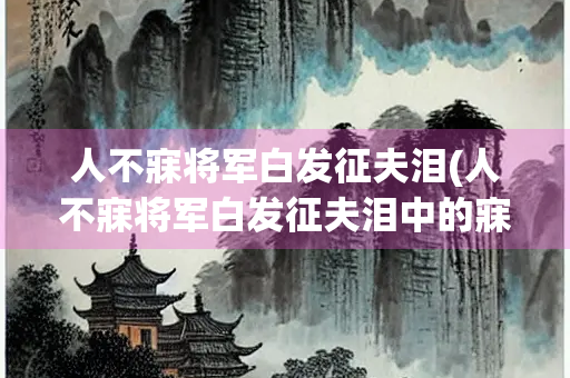 人不寐将军白发征夫泪(人不寐将军白发征夫泪中的寐是什么意思)
