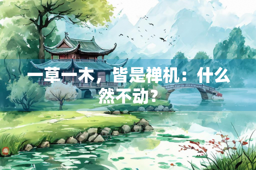 一草一木，皆是禅机：什么然不动？