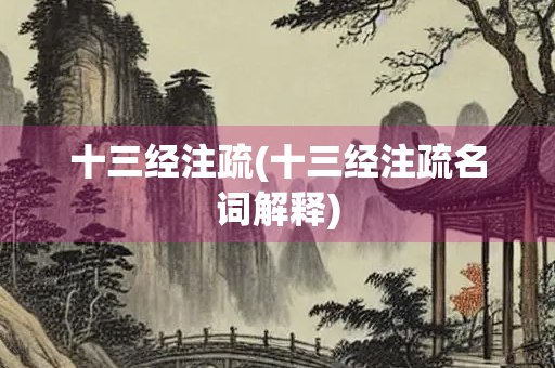十三经注疏(十三经注疏名词解释)