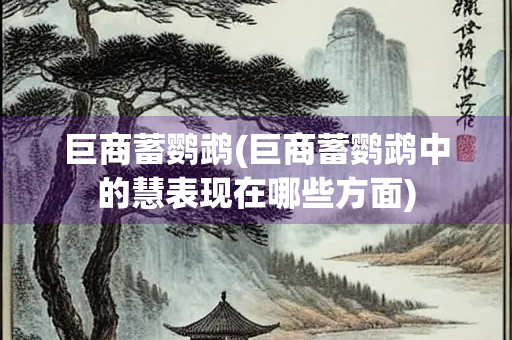 巨商蓄鹦鹉(巨商蓄鹦鹉中的慧表现在哪些方面)