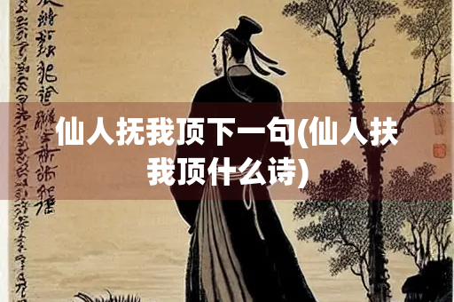 仙人抚我顶下一句(仙人扶我顶什么诗)