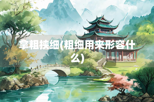 拿粗挟细(粗细用来形容什么)
