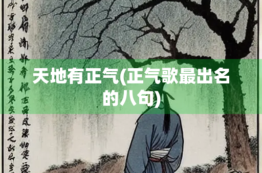 天地有正气(正气歌最出名的八句)