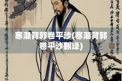 寒潮背郭卷平沙(寒潮背郭卷平沙翻译)