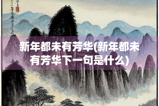 新年都未有芳华(新年都未有芳华下一句是什么)