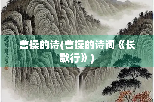 曹操的诗(曹操的诗词《长歌行》)