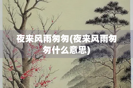 夜来风雨匆匆(夜来风雨匆匆什么意思)