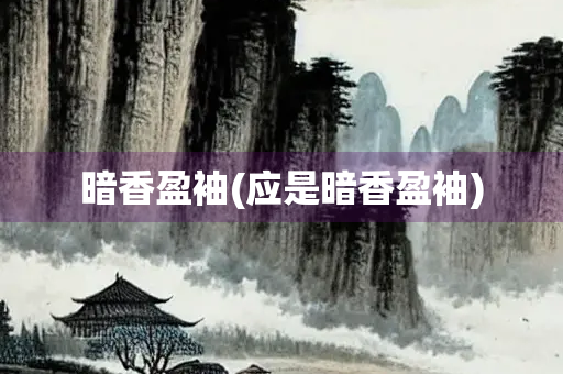 暗香盈袖(应是暗香盈袖)