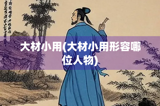 大材小用(大材小用形容哪位人物)