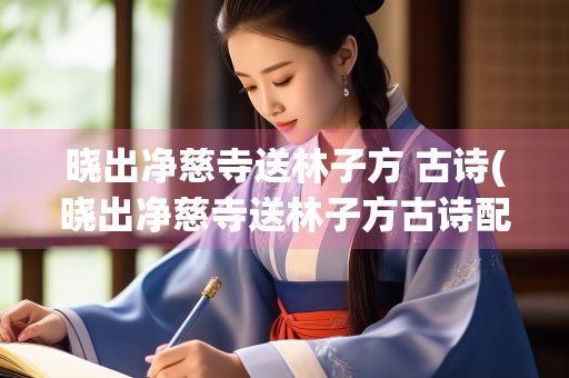晓出净慈寺送林子方 古诗(晓出净慈寺送林子方古诗配画图画)