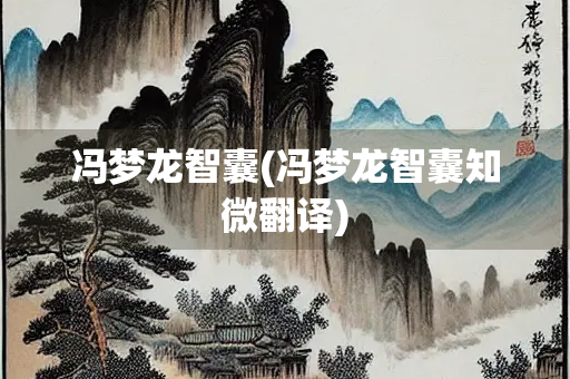 冯梦龙智囊(冯梦龙智囊知微翻译)