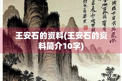 王安石的资料(王安石的资料简介10字)