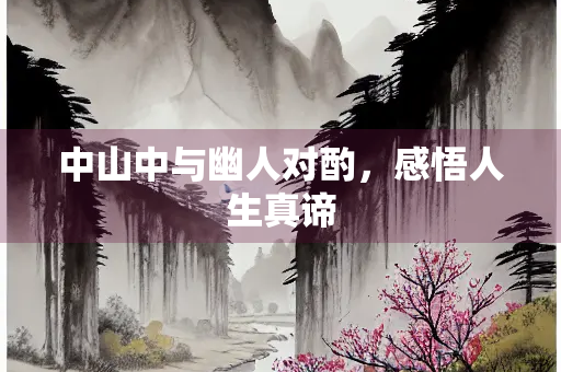 中山中与幽人对酌，感悟人生真谛