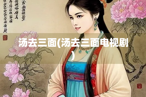 汤去三面(汤去三面电视剧)