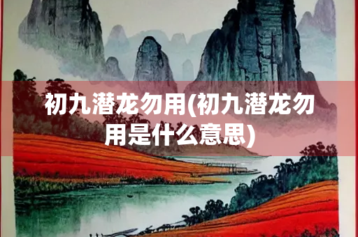 初九潜龙勿用(初九潜龙勿用是什么意思)