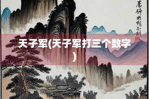 天子军(天子军打三个数字)