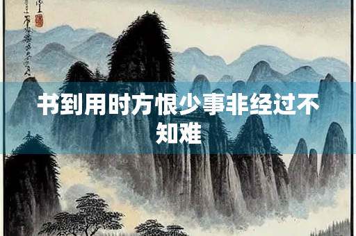 书到用时方恨少事非经过不知难