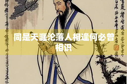 同是天涯沦落人相逢何必曾相识