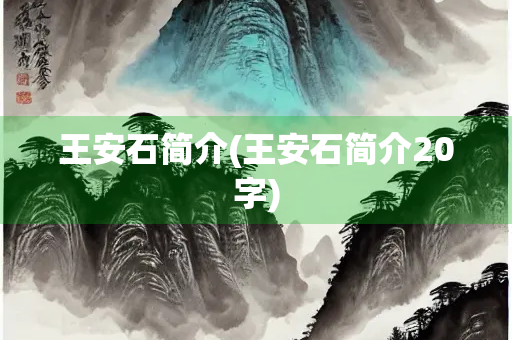 王安石简介(王安石简介20字)
