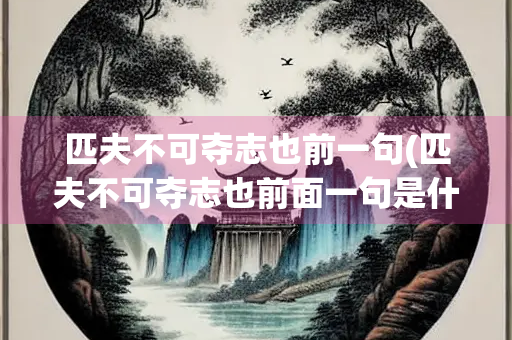匹夫不可夺志也前一句(匹夫不可夺志也前面一句是什么)