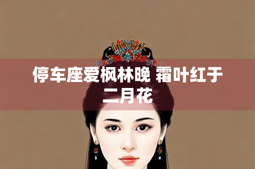 停车座爱枫林晚 霜叶红于二月花