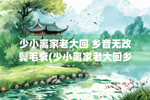 少小离家老大回 乡音无改鬓毛衰(少小离家老大回乡音无改鬓毛衰全诗)