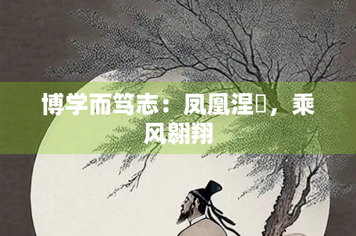 博学而笃志：凤凰涅槃，乘风翱翔