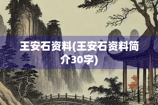 王安石资料(王安石资料简介30字)