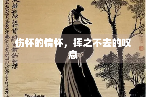 伤怀的情怀，挥之不去的叹息
