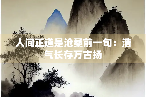 人间正道是沧桑前一句：浩气长存万古扬