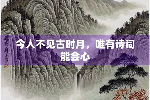 今人不见古时月，唯有诗词能会心