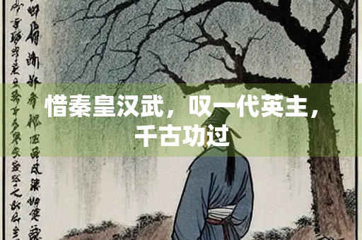 惜秦皇汉武，叹一代英主，千古功过