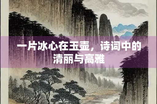 一片冰心在玉壶，诗词中的清丽与高雅